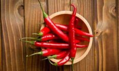Manfaat Cabai untuk Kesehatan Tubuh yang Jarang Disadari