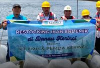 Bupati Kerinci Monadi bersama PT KMH dan dinas terkait melakukan penebaran ikan endemik dalam kegiatan restocking di Danau Kerinci sebagai upaya menjaga kelestarian ekosistem dan meningkatkan populasi ikan lokal./Suarabrita.com 
