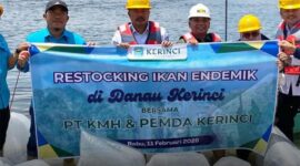 Bupati Kerinci Monadi bersama PT KMH dan dinas terkait melakukan penebaran ikan endemik dalam kegiatan restocking di Danau Kerinci sebagai upaya menjaga kelestarian ekosistem dan meningkatkan populasi ikan lokal./Suarabrita.com 