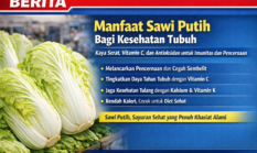 Manfaat Sawi Putih untuk Kesehatan Tubuh dan Pencernaan