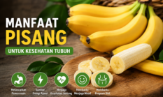 Manfaat Makan Pisang Setiap Hari untuk Kesehatan Tubuh