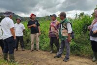 Kepala DTPH Kerinci Radium Halis bersama Dandim 0417/Kerinci meninjau langsung progres program cetak sawah rakyat dan kesiapan panen raya di Kecamatan Bukit Kerman, Rabu (6/5/2026).