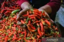 Suasana aktivitas jual beli di pasar tradisional Indonesia yang menunjukkan komoditas bahan pokok seperti beras, cabai, bawang, telur, dan minyak goreng. Terlihat papan harga yang mencerminkan fluktuasi harga pangan hari ini, dengan interaksi antara pedagang dan pembeli dalam kondisi pasar yang ramai dan dinamis./sumber foto antara news 