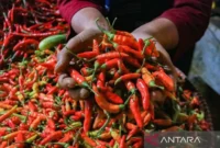 Suasana aktivitas jual beli di pasar tradisional Indonesia yang menunjukkan komoditas bahan pokok seperti beras, cabai, bawang, telur, dan minyak goreng. Terlihat papan harga yang mencerminkan fluktuasi harga pangan hari ini, dengan interaksi antara pedagang dan pembeli dalam kondisi pasar yang ramai dan dinamis./sumber foto antara news 
