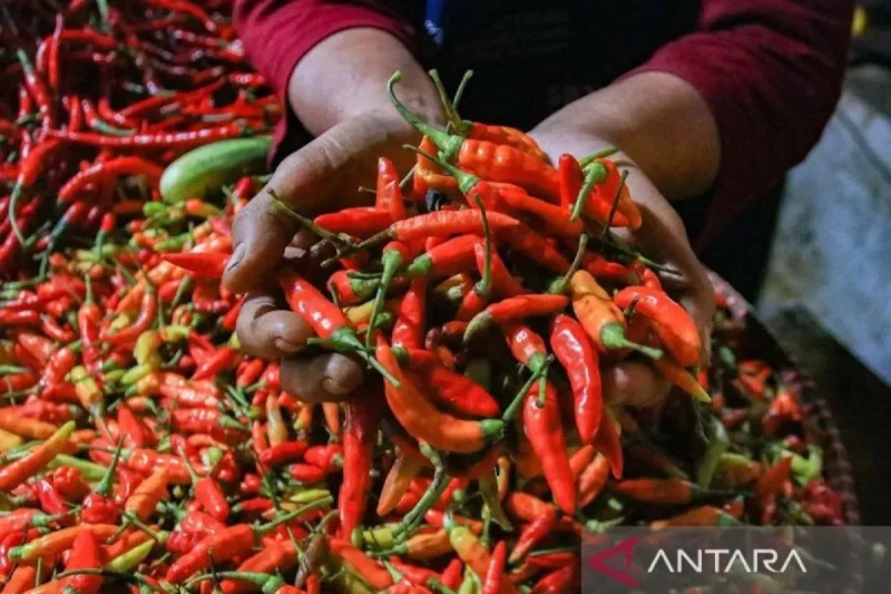 Suasana aktivitas jual beli di pasar tradisional Indonesia yang menunjukkan komoditas bahan pokok seperti beras, cabai, bawang, telur, dan minyak goreng. Terlihat papan harga yang mencerminkan fluktuasi harga pangan hari ini, dengan interaksi antara pedagang dan pembeli dalam kondisi pasar yang ramai dan dinamis./sumber foto antara news 