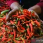 Suasana aktivitas jual beli di pasar tradisional Indonesia yang menunjukkan komoditas bahan pokok seperti beras, cabai, bawang, telur, dan minyak goreng. Terlihat papan harga yang mencerminkan fluktuasi harga pangan hari ini, dengan interaksi antara pedagang dan pembeli dalam kondisi pasar yang ramai dan dinamis./sumber foto antara news 