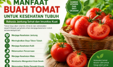 Manfaat Buah Tomat untuk Kesehatan Tubuh, Rahasia Jantung