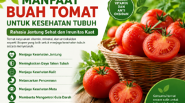 Gambar tersebut menampilkan infografis tentang manfaat buah tomat untuk kesehatan tubuh. Visual didominasi warna hijau dan merah yang menggambarkan kesegaran alami tomat, lengkap dengan ilustrasi buah tomat segar dalam keranjang. Infografis ini menjelaskan berbagai manfaat tomat seperti menjaga kesehatan jantung, meningkatkan daya tahan tubuh, melancarkan pencernaan, menjaga kesehatan kulit, hingga membantu mengontrol gula darah.